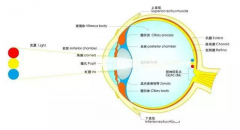 澳门永利网站使用空间在一个合理的照度条件下